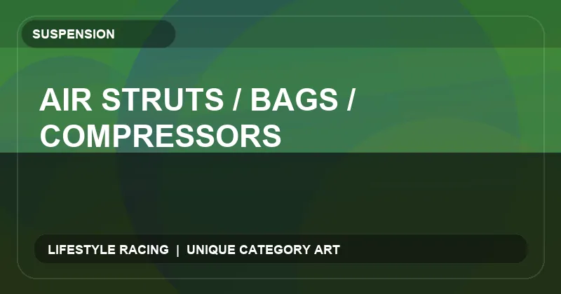 Air Struts / Bags / Compressors